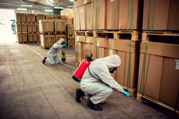 Best Pest Removal Services  in Eagle Point, OR