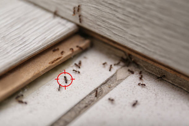 Eagle Point, OR Pest Control Company