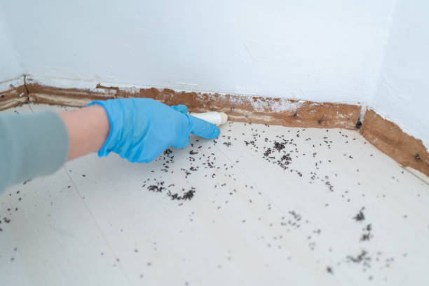 Best Affordable Pest Control Services  in Eagle Point, OR